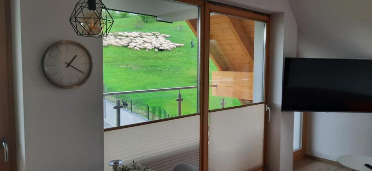 Apartamenty Bachledzki Wierch Zakopane Exteriér fotografie