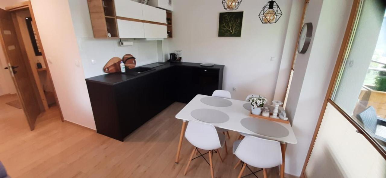 Apartamenty Bachledzki Wierch Zakopane Exteriér fotografie