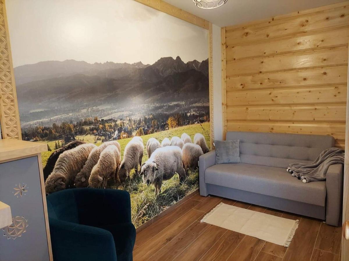 Apartamenty Bachledzki Wierch Zakopane Exteriér fotografie